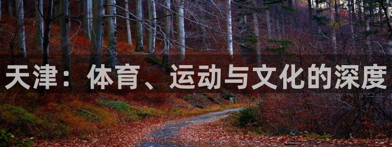 三亿体育网