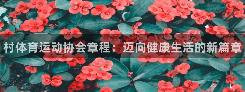 三亿体育网页版