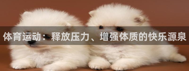 三亿体育网