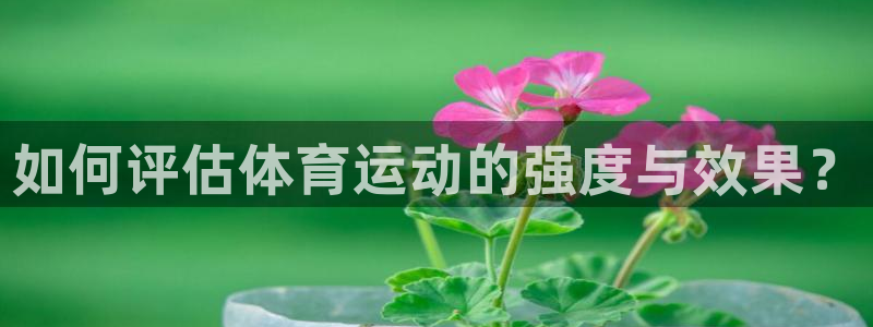 三亿体育网