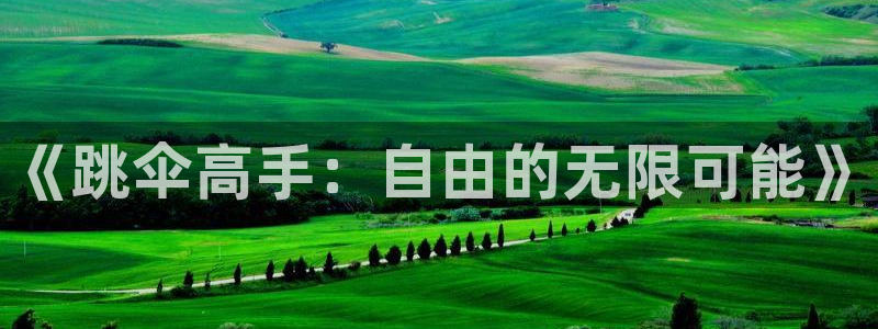 三亿体育网页版