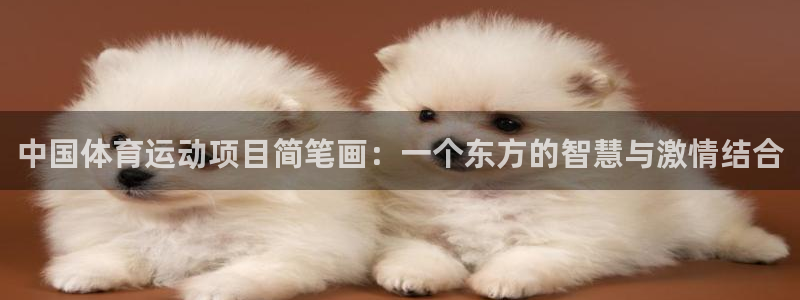 三亿体育网：中国体育运动项目简笔画：一个东方的智慧与激情结合