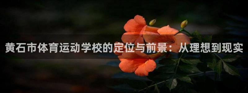三亿体育登录：黄石市体育运动学校的定位与前景：从理想到现实