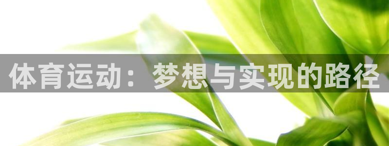 三亿体育网页版：体育运动：梦想与实现的路径