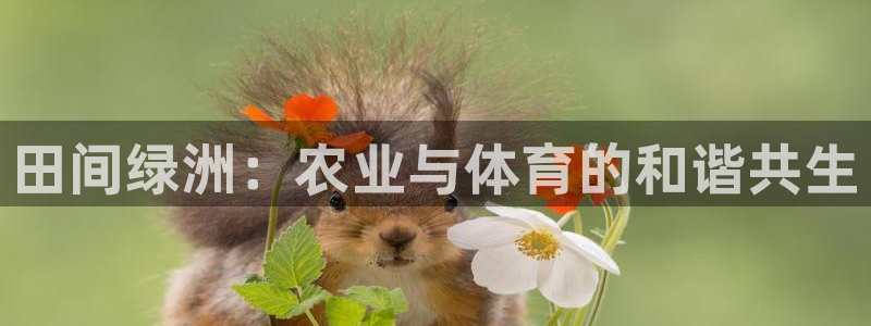 三亿体育登录：田间绿洲：农业与体育的和谐共生