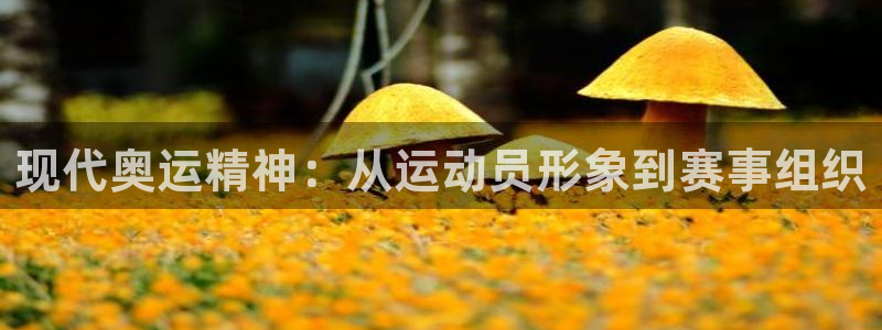 三亿体育网：现代奥运精神：从运动员形象到赛事组织