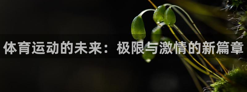 三亿体育登录：体育运动的未来：极限与激情的新篇章