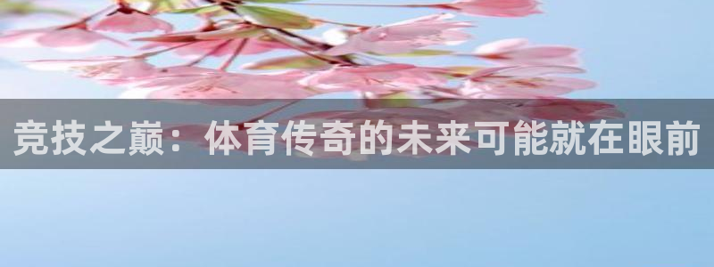 三亿体育网