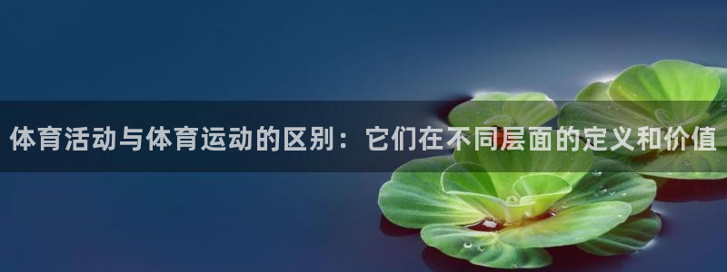 三亿体育网